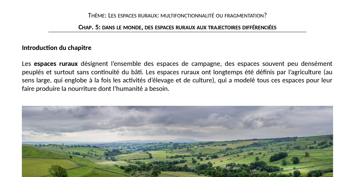 Image / vignette