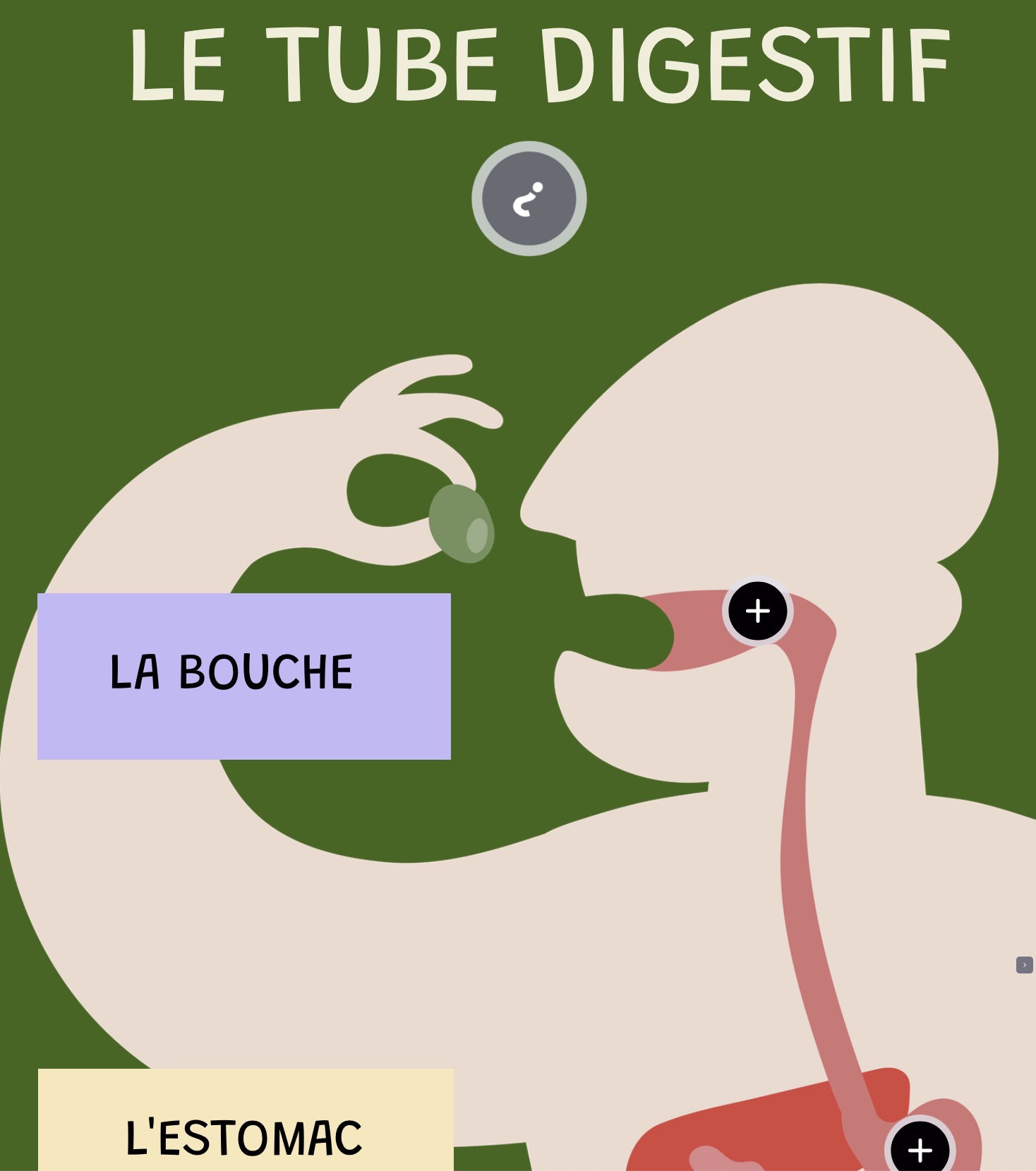 Image / vignette