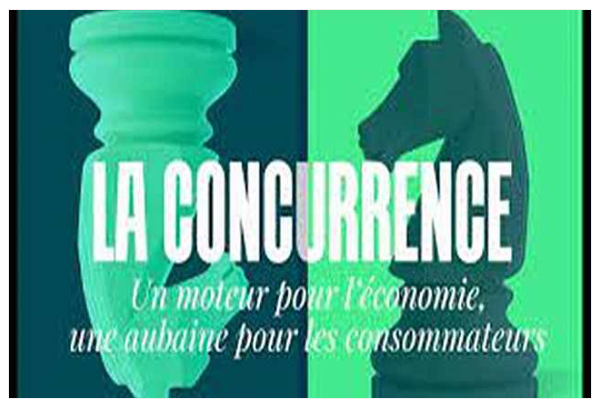 Image / vignette