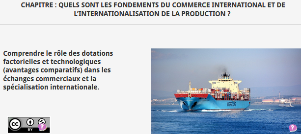 Image / vignette