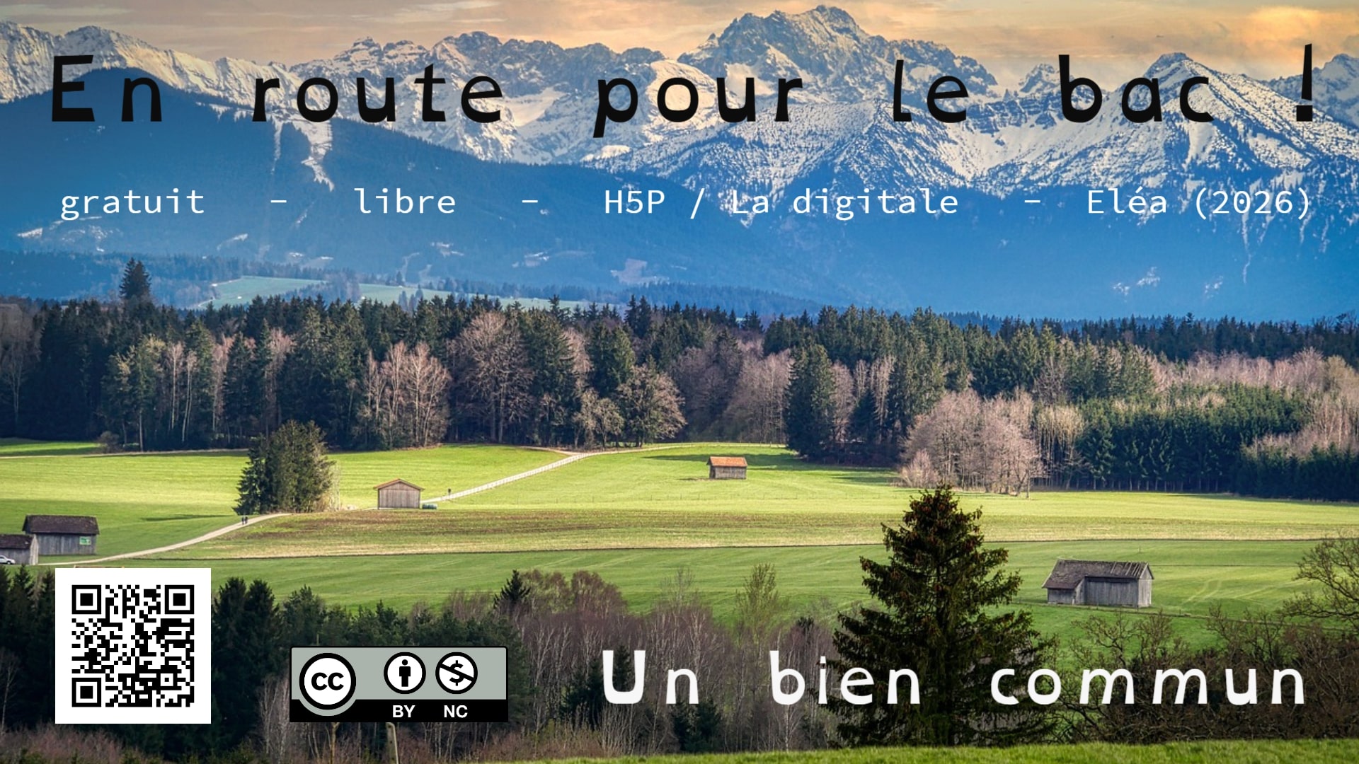 Image / vignette