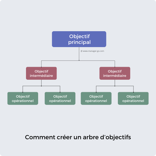 Image / vignette